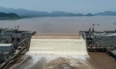 الجميعة العربية الأمريكية تكشف موقف ترامب من سد النهضة