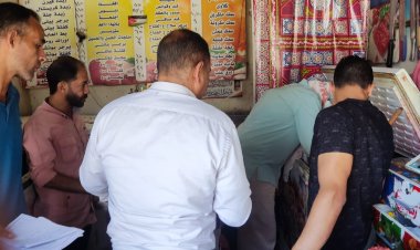 ضبط 156 كيلو لحوم وأسماك غير صالحة بالمنيا