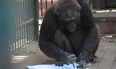 هل حديقة الحيوان مفتوحة الآن بمناسبة قرب إجازة شم النسيم؟