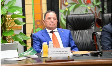 «برلماني» يُشيد بضم «8.5» مليون منتفع من تكافل وكرامة وعمالة غير منتظمة للتأمين الصحي