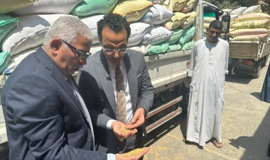 التموين تتخطى 2 مليون طن من المستهدف من استلام القمح  بنسبة 60٪؜ 