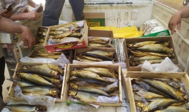 حبس وغرامة.. عقوبات تنتظر هؤلاء في شم النسيم