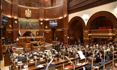 برلماني لـ وزير الصناعة: «صديق لى كان يسعى لإنشاء مصنع والتقيته بعد فترة ليخبرني أنه افتتحه بدولة عربية»