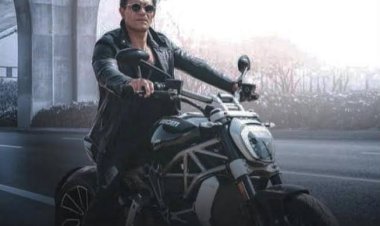 تركي آل الشيخ: ندعم فيلم الشايب لآسر ياسين وسنصل به للعالمية