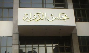 حجز 48 طعن على نتيجة 30 دائرة ملغاة بانتخابات النواب لجلسة الاربعاء 24 ديسمبر