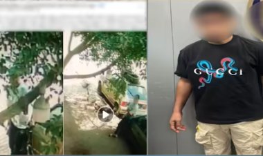  القبض على المتهم بتحطيم مرايات السيارات عمداً بدائرة قسم شرطة البساتين