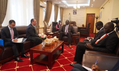 السفير المصري يلتقى بوزير الخارجية الجنوب سوداني المعين حديثاً