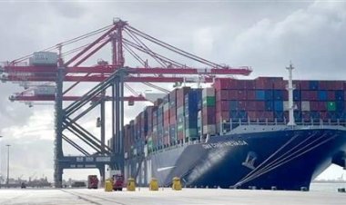 الحكومة تكشف تفاصيل الإفراجات الجمركية عن السلع والبضائع