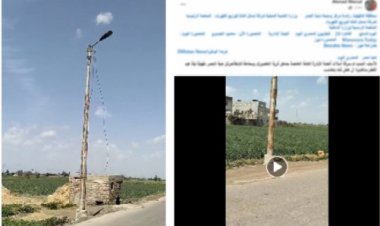 كشف حقيقة فيديو "اختفاء أسلاك أعمدة الإنارة" بالدقهلية