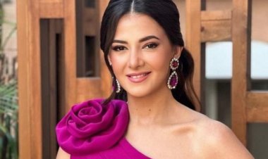 رغم نجاحاتهما سويًا.. دنيا سمير غانم ليست ضمن المدعوين فى فرح هشام جمال وليلى زاهر