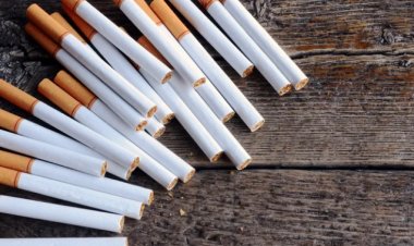 أول تعليق لـ«شعبة الدخان» على ارتفاع أسعار السجائر