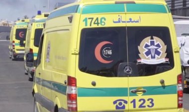 أحدهم حالته حرجة.. طالب بمدرسة دولية يطعن 3 من زملائه بالإسكندرية