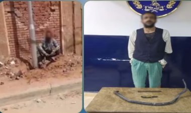 ضبط عاطل متهم بسرقة أسلاك كهرباء أعمدة إنارة ببورسعيد بعد تداول فيديو على مواقع التواصل