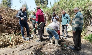 مياه الإسكندرية: حملات إزالة التعديات على شبكة مياه الشرب