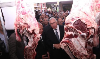 تعرف على أسعار اللحوم البلدية بمنافذ وزارة الزراعة