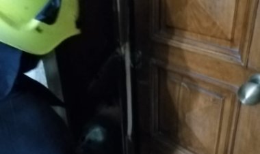 إنقاذ مسن محتجز داخل شقة سكنية بعقار فى مدينة نصر