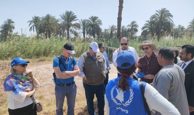 تنظيم احتفالية لحصاد حقول القمح المنزرعة بالأساليب الحديثة في الأقصر