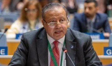 رئيس الجهاز المصري للملكية الفكرية يوقف العمل بصيغة التنازل الجديدة عن الكلمات والألحان