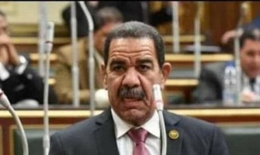 عضو زراعة النواب يطالب بتخصيص نسبة 10 % من إنتاج الأسمدة للمساحات الكبيرة