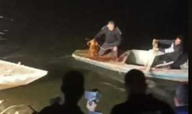 غرق ميكروباص بداخله 14 راكبا فى ترعة الإبراهيمية بأسيوط 