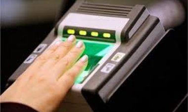 سعر الفيش والتشبيه 2024