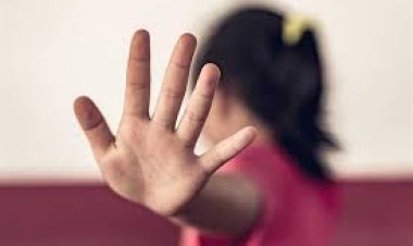 التحقيق مع جامع خردة تحرش بطفلتين في منطقة البراجيل