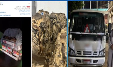 الداخلية تكشف حقيقة فيديو متداول بشأن سيارة محملة بكلاب نافقة