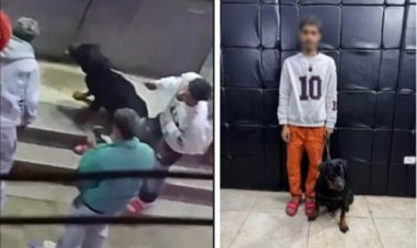 بدافع اللهو".. كشف ملابسات فيديو ترهيب المواطنين بـ "كلب" في مدينة نصر والقبض على المتهم