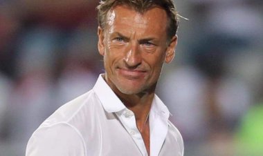 بعد ترشيحه لخلافة فيتوريا.. مسيرة إفريقية حافلة للفرنسي «رينار»