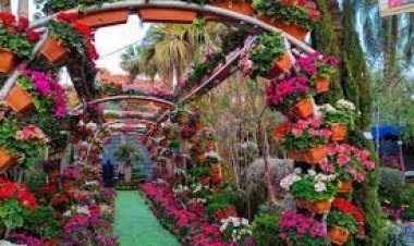 مكان معرض الزهور 2024