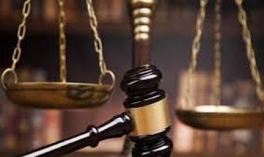 حبس 11 سائقًا لتعمدهم السير عكس الاتجاه بالطريق العام وتعريض حياة المواطنين للخطر