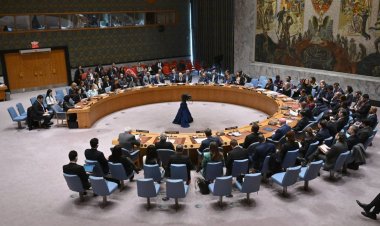 خارجية فلسطين ترحب باعتماد مجلس حقوق الإنسان وقف بيع السلاح إلى إسرائيل