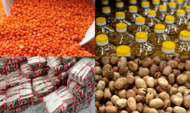 ارتفاع أسعار الزيت والفول والسكر والمكرونة بالأسواق اليوم الجمعة