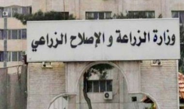 «الزراعة»: الفرق الإرشادية الريفية تتابع المحاصيل الاستراتيجية في شمال سيناء