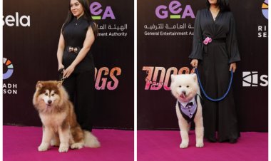 ​«كلاب على الريد كاربت».. أجواء الإثارة تسيطر على العرض الخاص لفيلم «7Dogs»