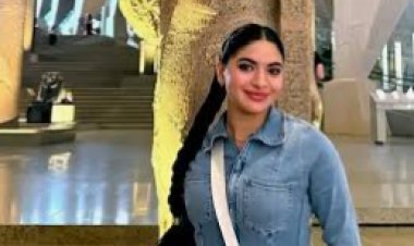 تأجيل محاكمة  سوزي الأردنية بقضية الفيديوهات الخادشة للحياء لجلسة 29 أكتوبر 