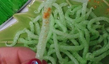 كوريا تمنع عيدان تنظيف الأسنان المقلية !