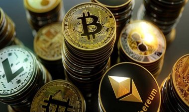 ما هو المقصود بالعملة الصعبة وأهميتها؟