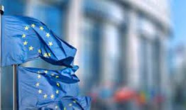 بقيمة 3.1 مليارات دولار.. الصادرات المصرية لإيطاليا تتصدر دول الاتحاد الأوروبي