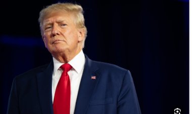 الرئيس الأمريكي السابق دونالد ترامب يطلق حسابا رسميا على «تيك توك»