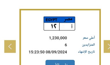 الداخلية تطرح لوحات معدنية تصل إلى 1.2 مليون جنيه 