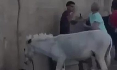 سائحة تشتبك بالأيدي مع شاب «ضرب حمار» في نزلة السمان