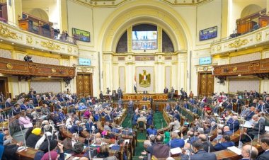 مجلس النواب يناقش تقرير التضامن بشأن تعيين مدير تنفيذى لصندوق قادرون بإختلاف