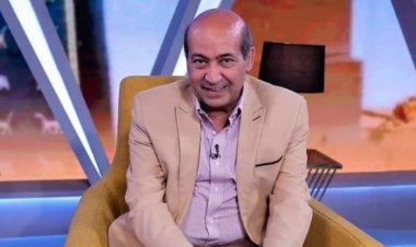 طارق الشناوي يطالب بفتح تحقيق بشأن الاتهامات المتبادلة بين المسئولين عن «القاهرة السينمائي»