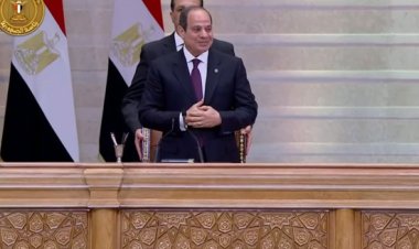 أستاذ علوم  سياسية: مصر نجحت في بناء دوائر جديدة للسياسة الخارجية في عهد السيسي