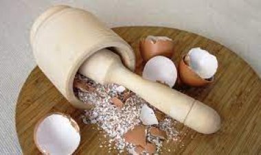 الاستفادة الصحية من قشر البيض.. علاج طبيعي لهشاشة العظام وقرحة المعدة