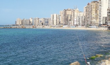 هيئة قضايا الدولة تثبت ملكية محافظة الإسكندرية لأرض قيمتها مليار جنيه