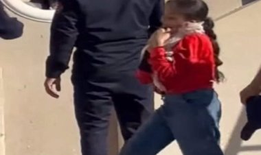   إنقاذ قطة محتجزة بأحد العقارات في المنيا الجديدة 