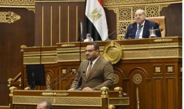 مجلس الشيوخ يناقش ملف الهجرة غير الشرعية وخلق فرص عمل للشباب في جلسته العامة