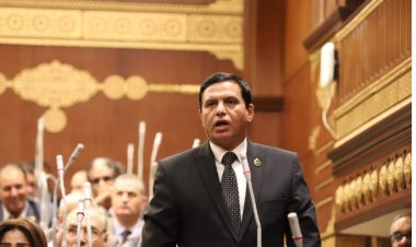 «برلماني»: الإفراج والعفو عن 605 من النزلاء ترسيخ لدعائم الجمهورية الجديدة